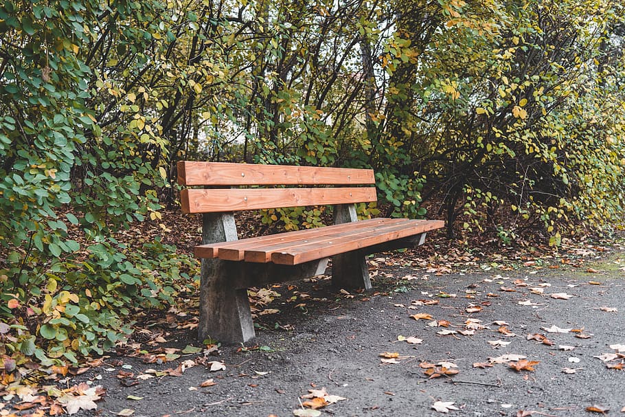 bank, park, park bench, sit, autumn, nature, rest, relaxation, HD wallpaper