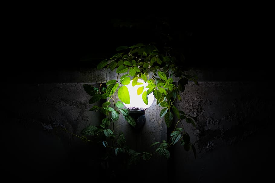 illuminated, dark, no people, nature, night, burning, fire HD wallpaper