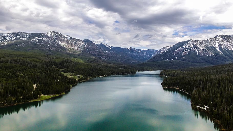 bozeman, united states, forest, montana, mountain, water, trees, HD wallpaper