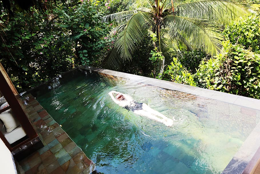 indonesia, bali, water, tree, plant, day, nature, swimming HD wallpaper