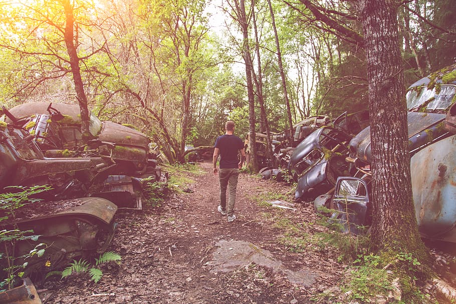 forest, trees, wood, woods, man, men, boy, walk, car, oldtimer HD wallpaper