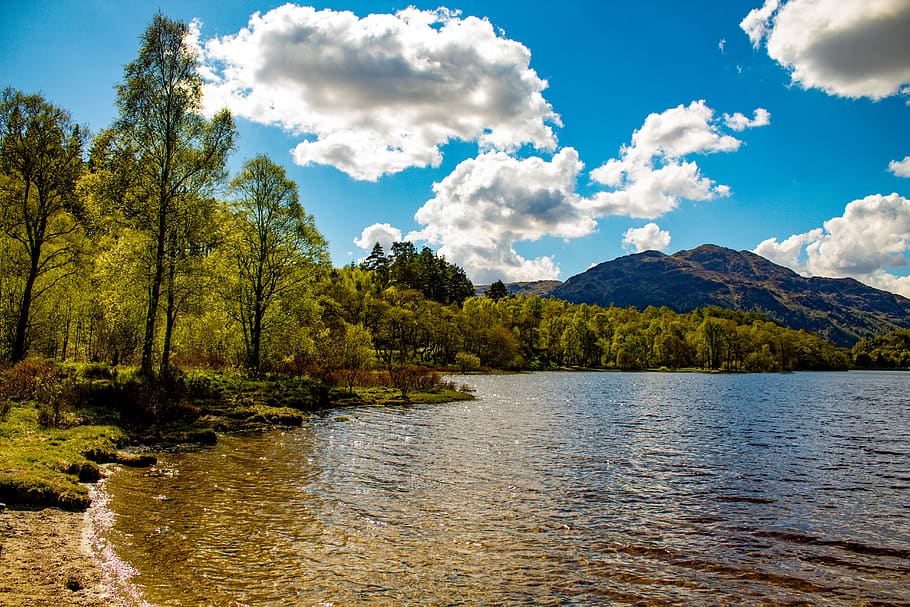 Body of Water Surrounded by Trees, clouds, daylight, desktop HD wallpaper