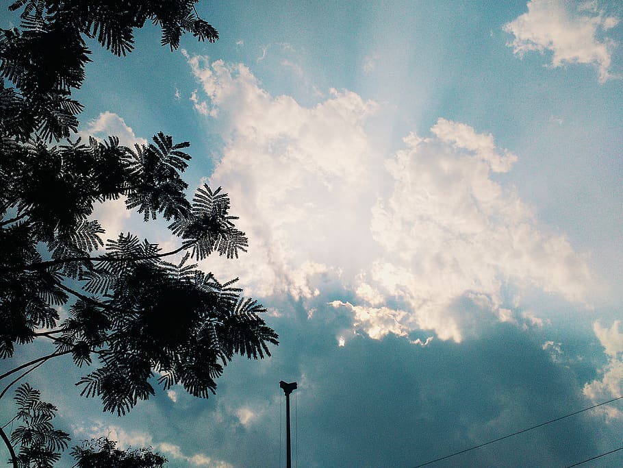 tree, lights, clouds, sunlight, peeking, blue, ambient, relaxed, HD wallpaper