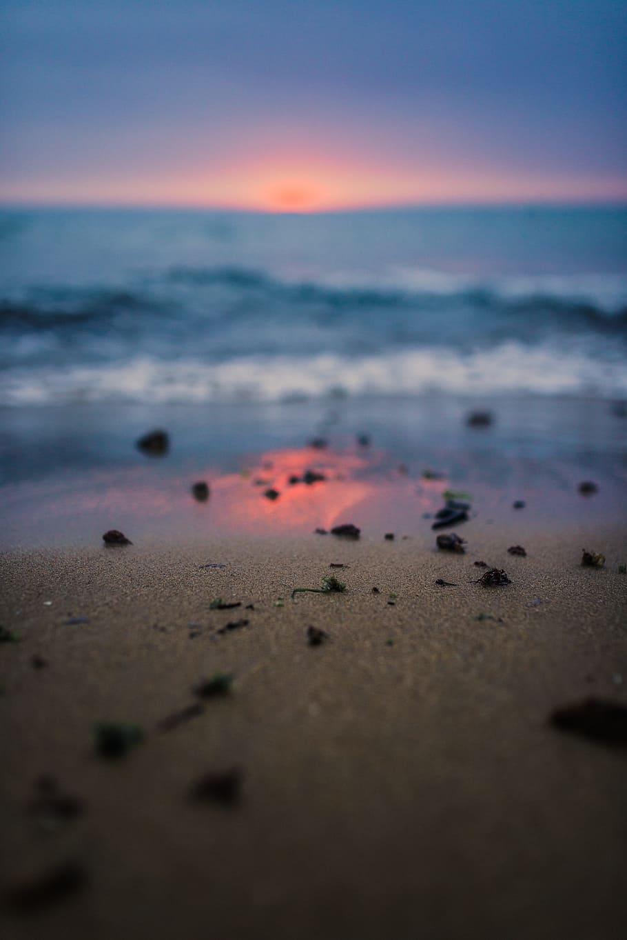 seaweed on beach sand during sunset, summer, wafe, bech, water HD wallpaper