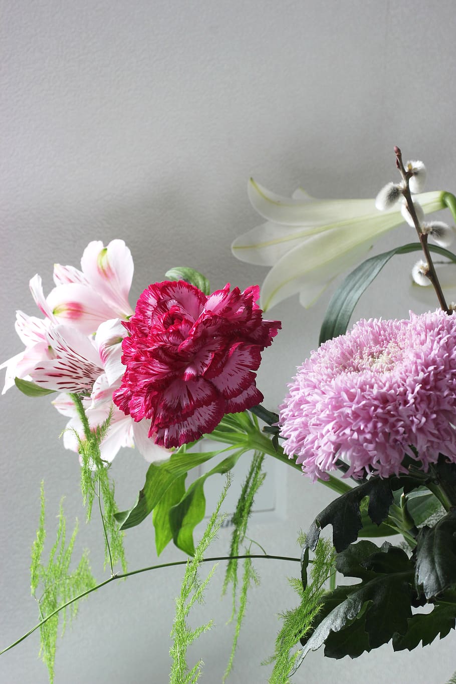 plant, flower, blossom, carnation, dahlia, geranium, flower arrangement, HD wallpaper