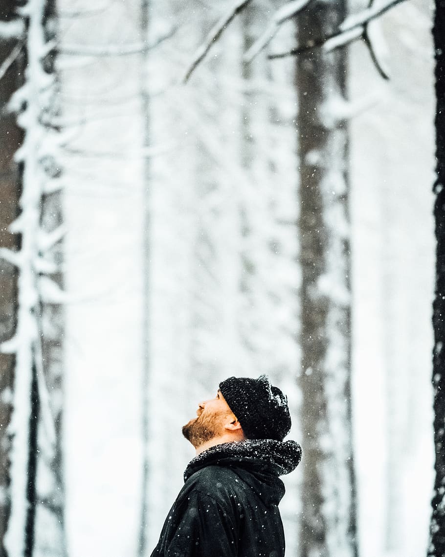 man standing under tree covered with snow, winter, cold temperature HD wallpaper