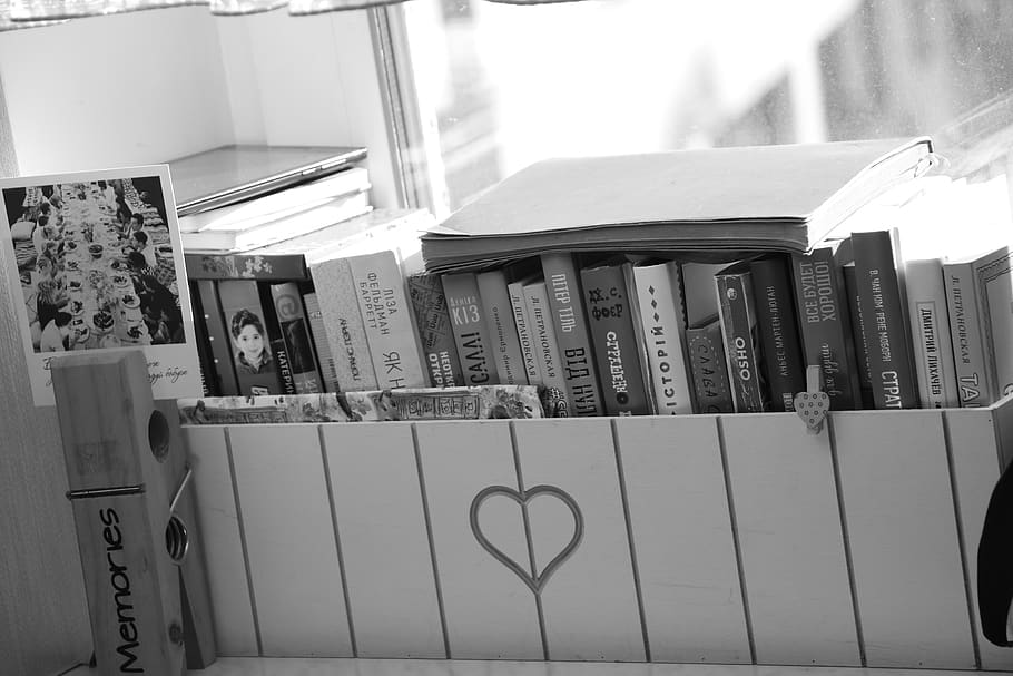 furniture, shelf, bookcase, indoors, room, person, human, window