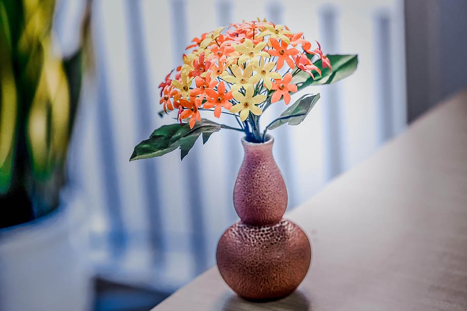 flower, day, each, weak, flowering plant, vase, freshness, vulnerability HD wallpaper