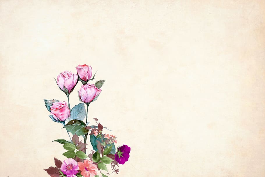 Illustrated flower background with pink blooms., floral, border, HD wallpaper