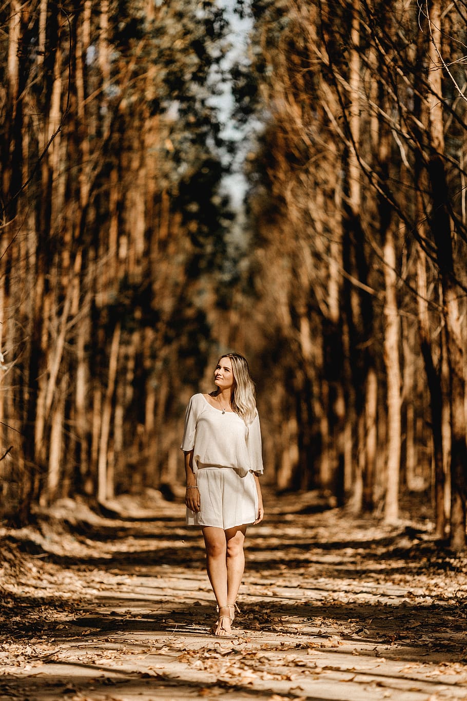 woman standing between trees, apparel, clothing, human, person HD wallpaper
