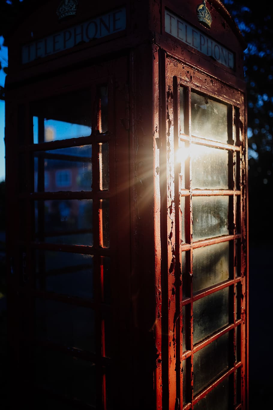 red telephone booth, ely, united kingdom, light, kennel, den HD wallpaper