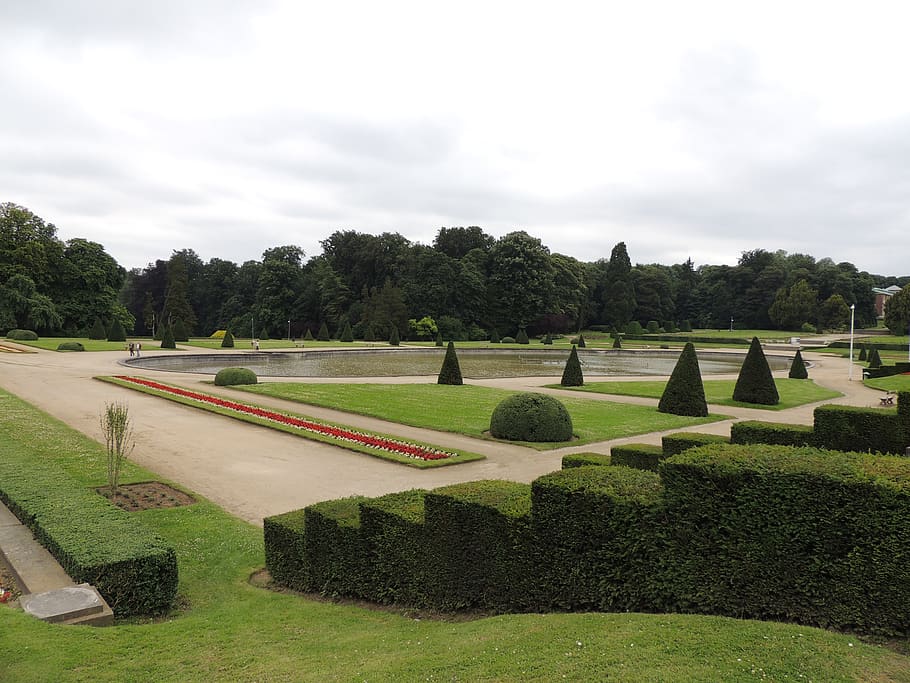 belgium, brussels, park, plant, tree, sky, green color, grass HD wallpaper