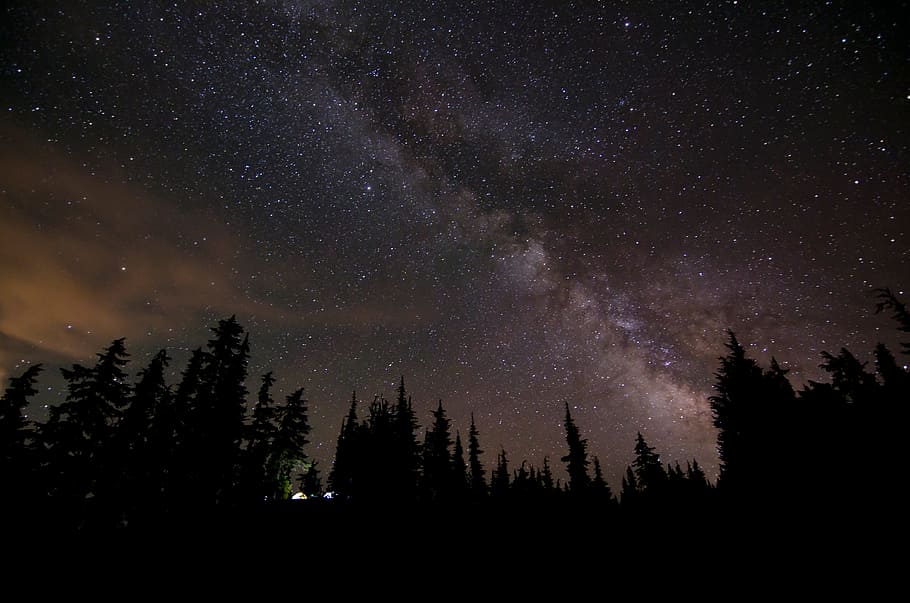 trees, dark, night, nature, sky, stars, galaxies, light, space HD wallpaper