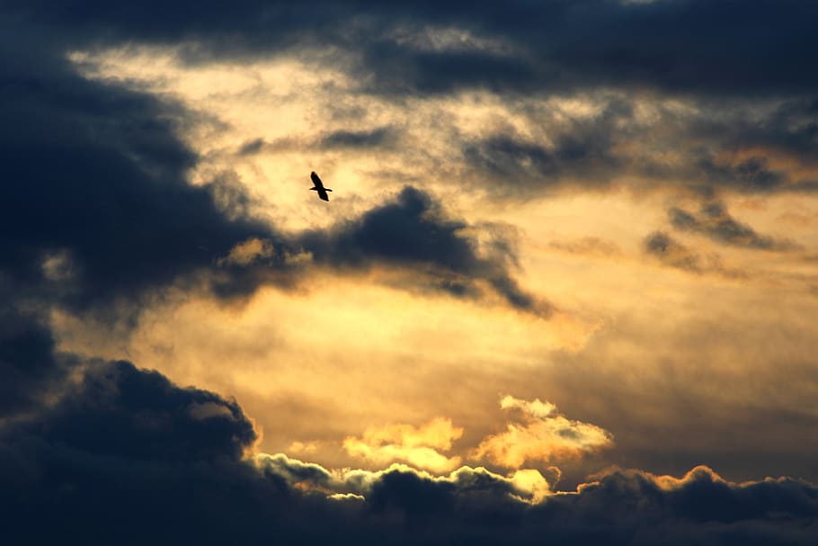 evening sky, clouds, sun, sunset, abendstimmung, dusk, atmosphere HD wallpaper