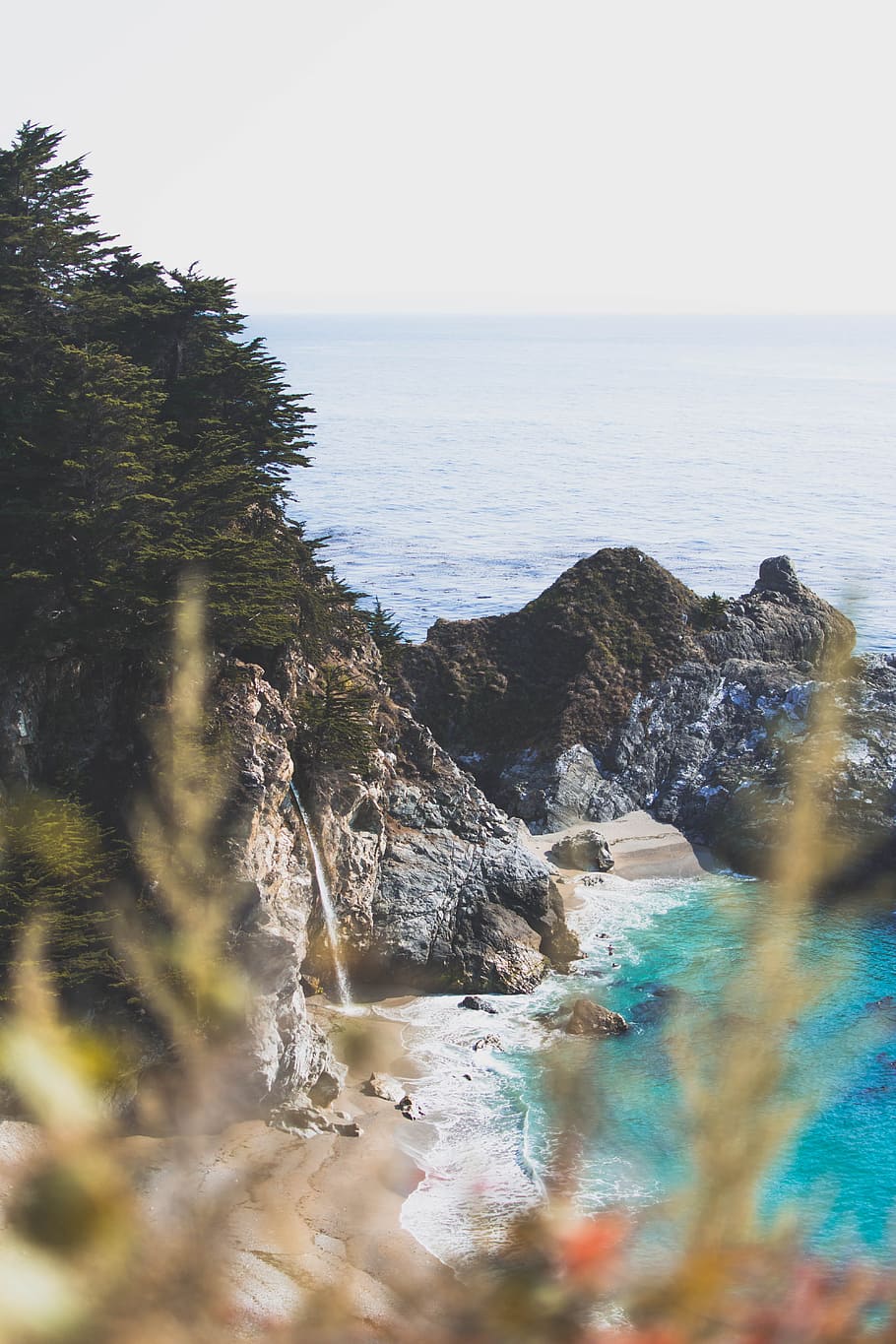 photograph of beach, cliff, water, sea, ocean, tree, forest, woodland