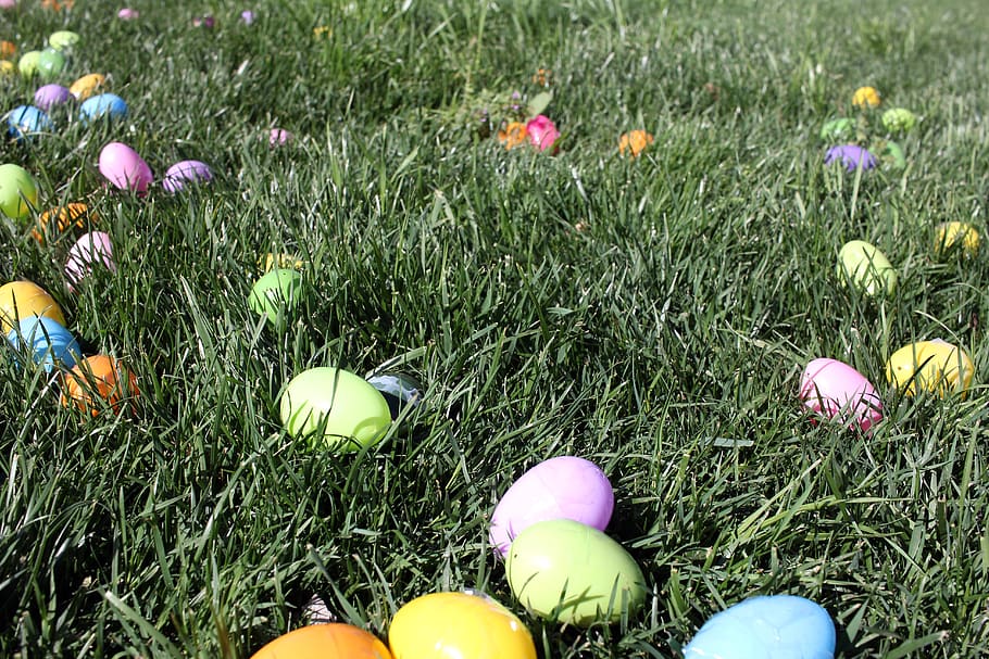 easter eggs, grass, children events, children activities, plant HD wallpaper