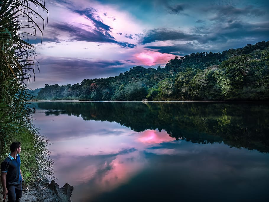 Man Standing Near Calm Body of Water, clouds, dusk, evening, forest HD wallpaper
