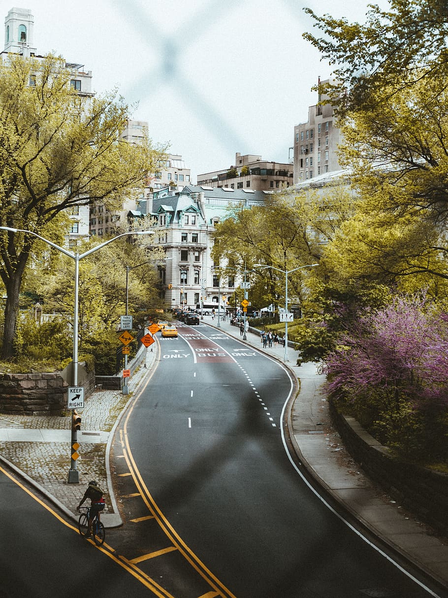 empty road, transportation, city, plant, street, architecture HD wallpaper