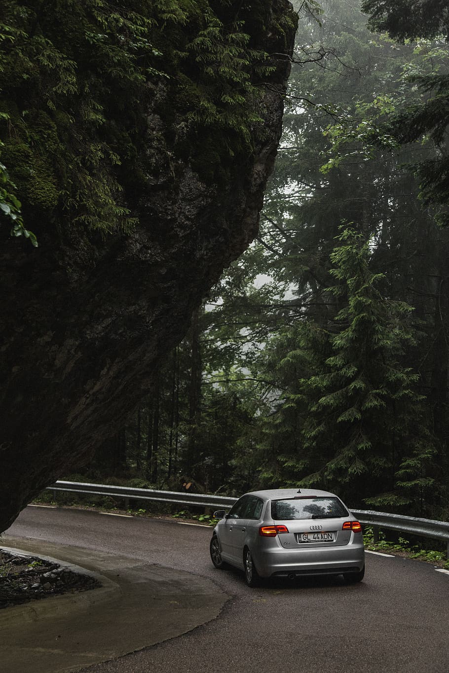 silver 5-door hatchback, car, romania, forest, road, rarău, street HD wallpaper