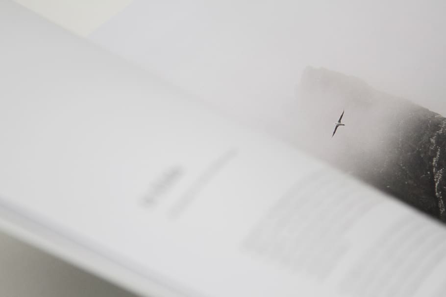 no people, paper, text, close-up, copy space, pen, indoors HD wallpaper