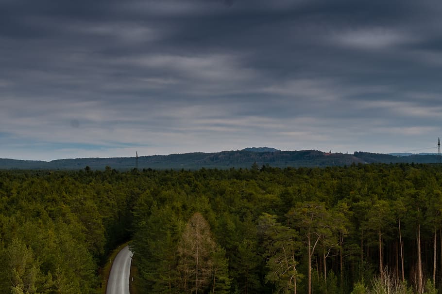 sky, forest, trees, nature, landscape, clouds, scenic, green HD wallpaper