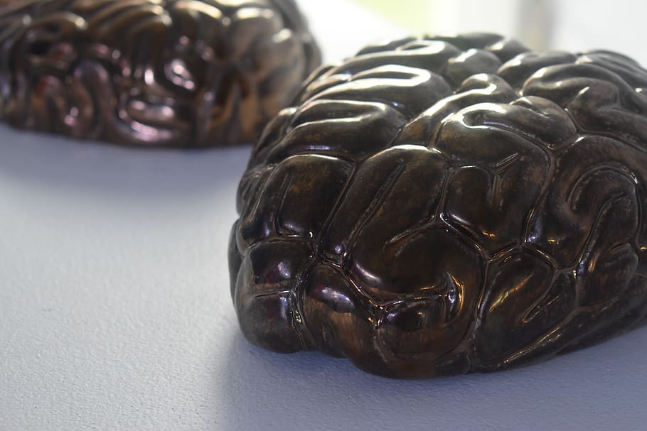 brain, copper, close-up, still life, indoors, no people, food and drink HD wallpaper