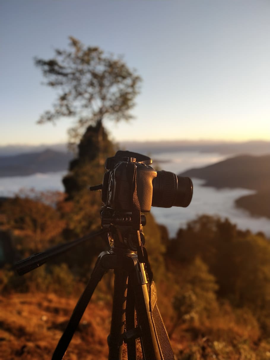 Selective Focus Photography of Dslr Camera on Stand, adventure HD wallpaper