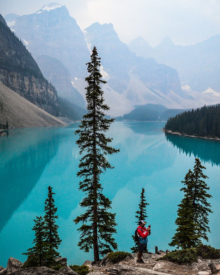 Man Standing Near Pine Trees Near Body of Water, conifer, daylight HD wallpaper