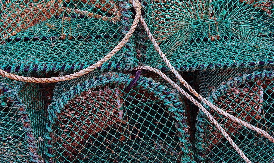 green catching net, pattern, snake, animal, reptile, embroidery, HD wallpaper