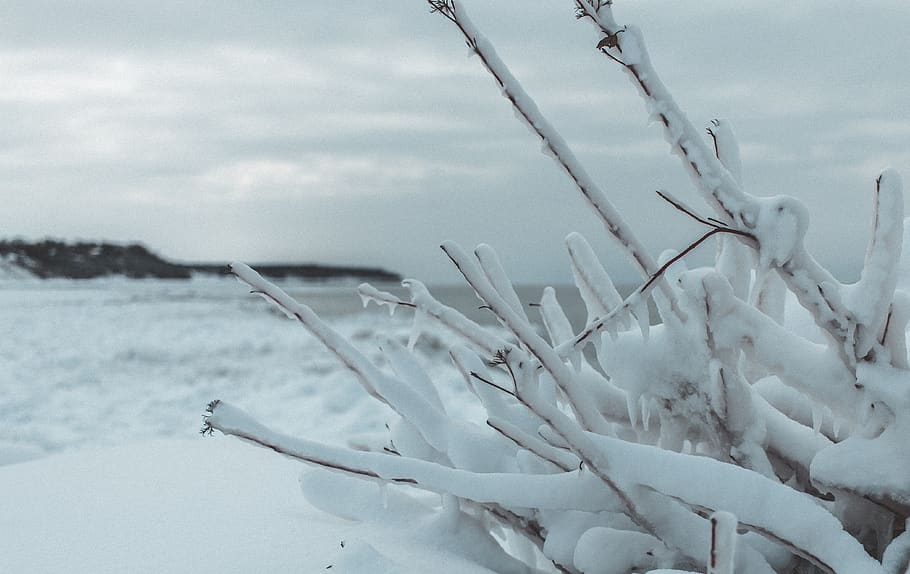 canada, goderich, snow, frozen, beach, winter, cold temperature HD wallpaper