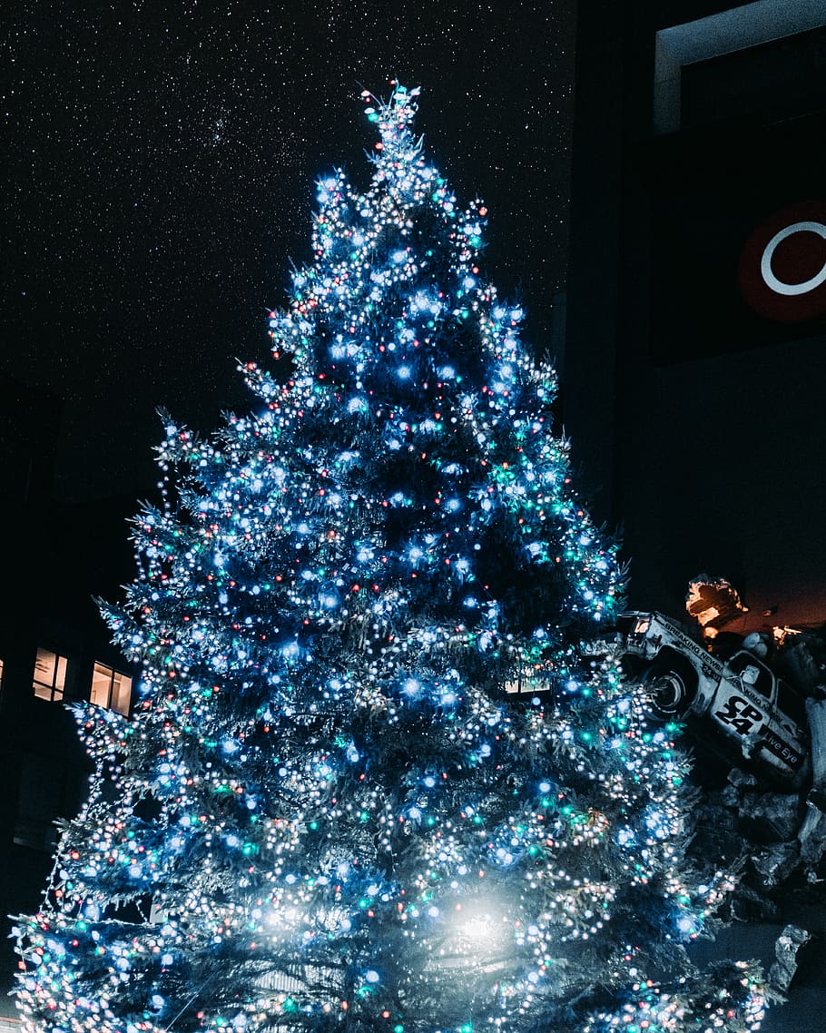 Christmas tree with lights, ornament, plant, abies, fir, adventure HD wallpaper