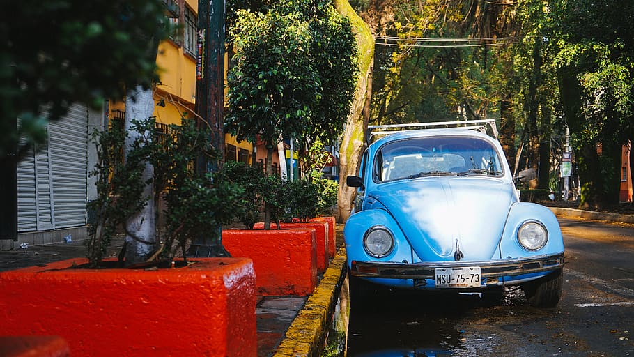 old, car, bug, beetle, mexico, street, vintage, morning, mode of transportation HD wallpaper