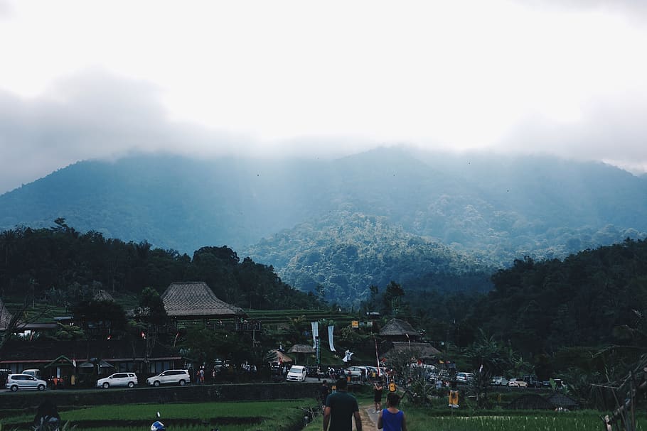 indonesia, ricefields tegallang, sun, clouds, sky, forest, bali HD wallpaper