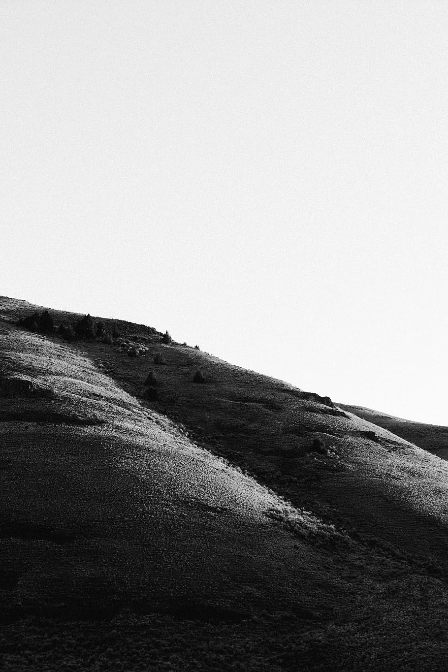 desert, empty, hill, sky, sun, light, sunrise, tree, trees HD wallpaper