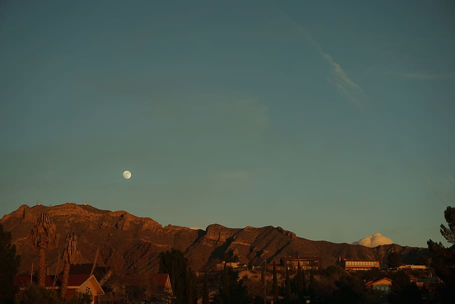alien, planet, sunset, moonrise, mountain, tree, blue, sky HD wallpaper