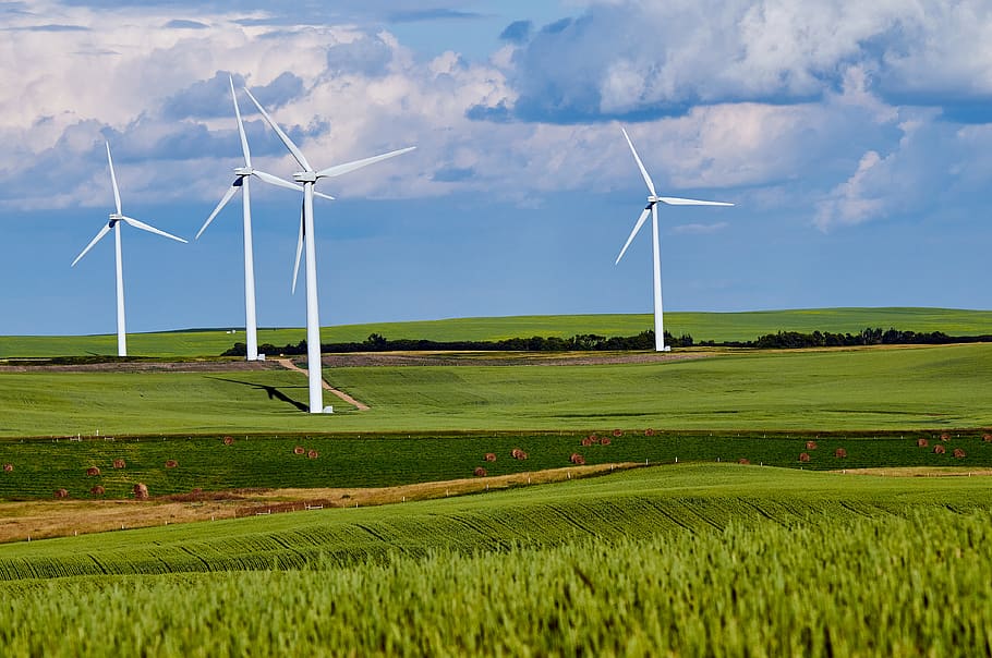 white windmill, motor, engine, machine, turbine, field, wind turbine HD wallpaper