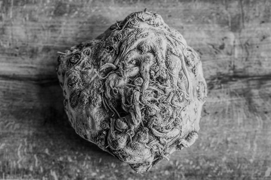 focus on foreground, close-up, no people, wood - material, still life HD wallpaper