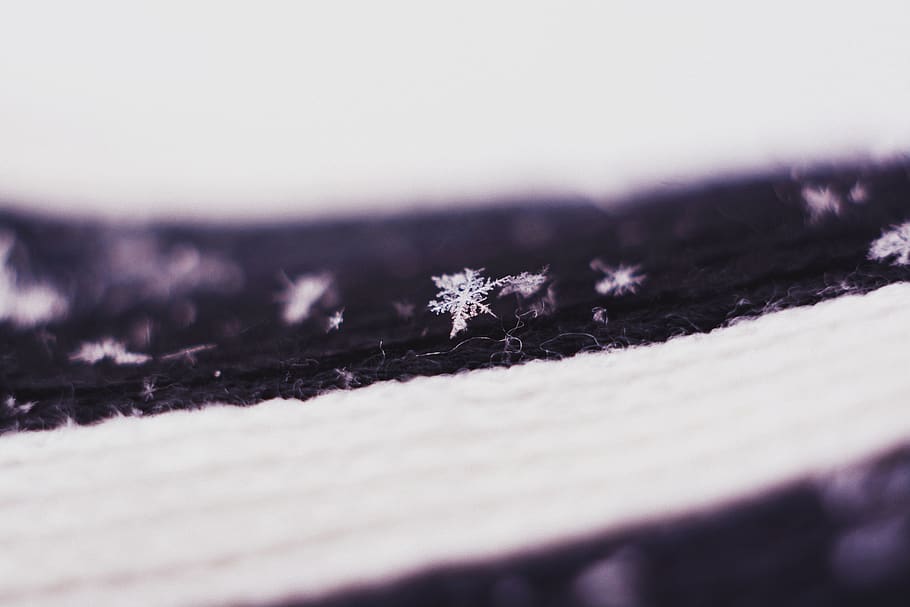 snowflake, black, wallpaper, background, nature, macro, light HD wallpaper