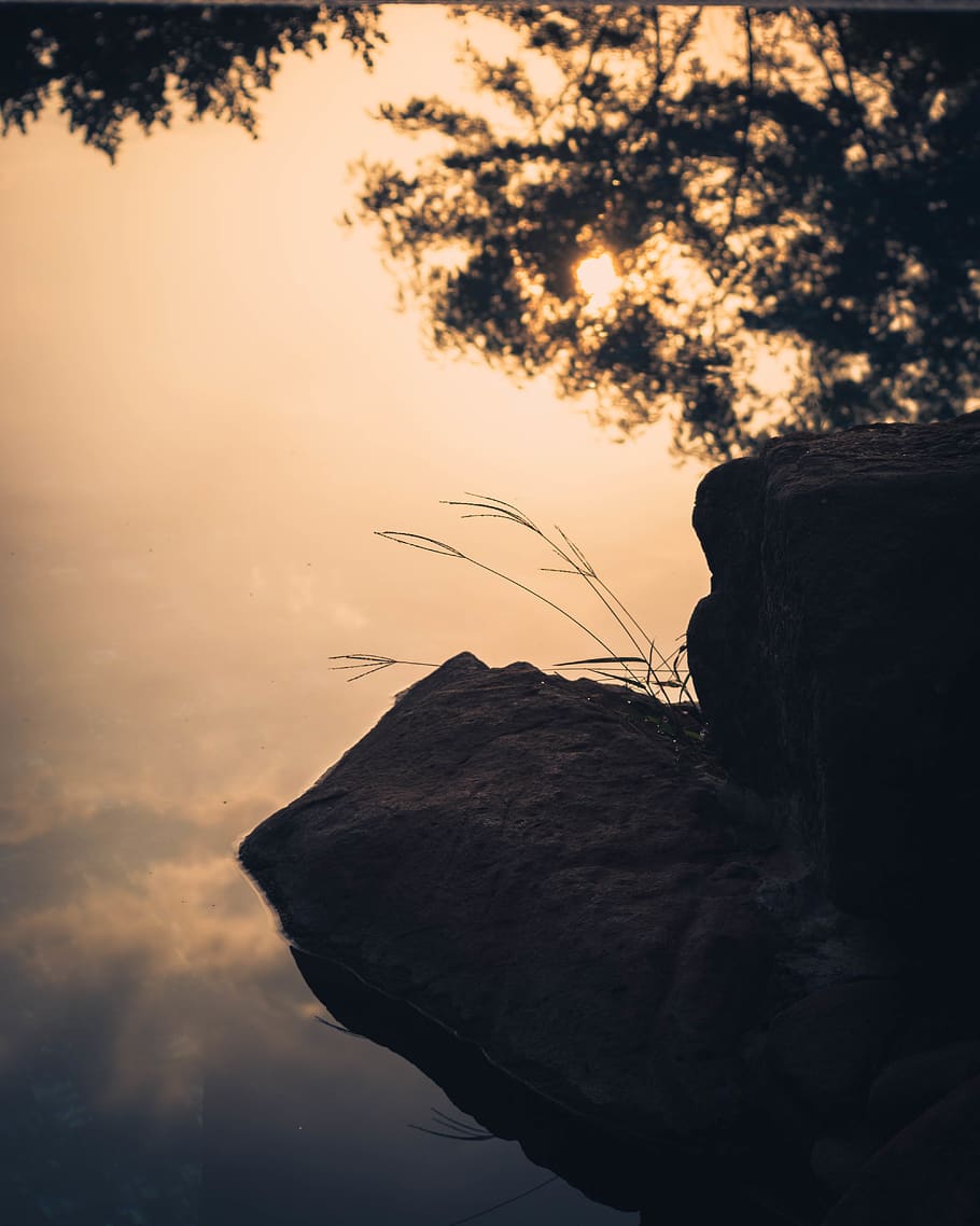 pool, upside down, rock, sunrise, reflection, plant, sky, nature HD wallpaper