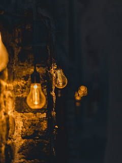 light, lightbulb, lighting, sunlight, light fixture, animal HD wallpaper