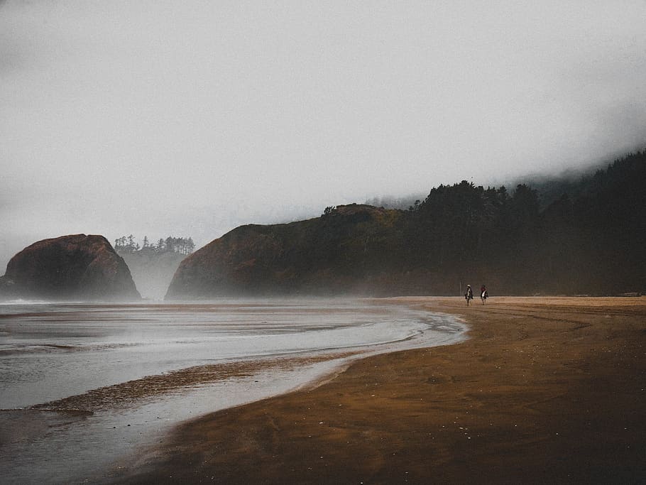 people walking on shore, ocean, water, shoreline, nature, outdoors HD wallpaper