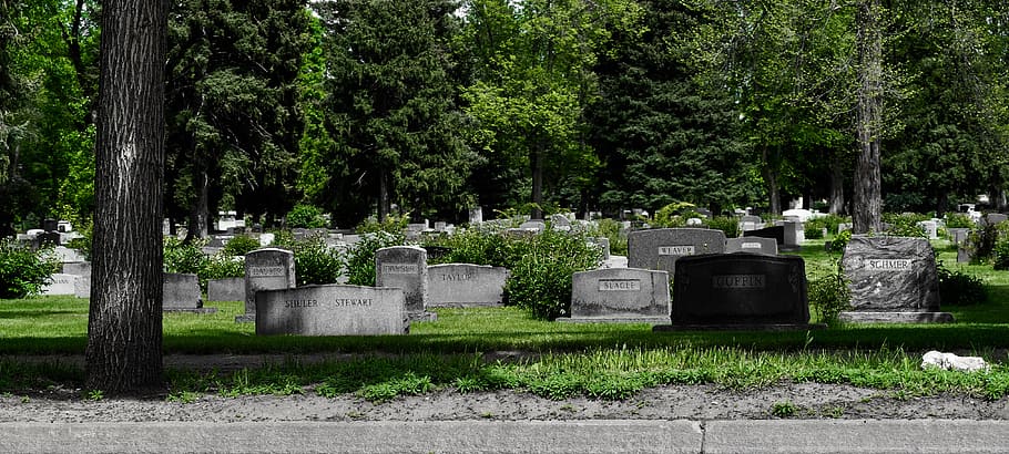 trees, headstones, dark, light, green, bandw, coffin, irony HD wallpaper