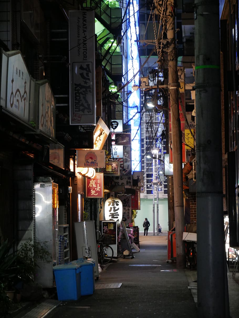 japan, kyoto prefecture, street, nightview, man, building exterior, HD wallpaper