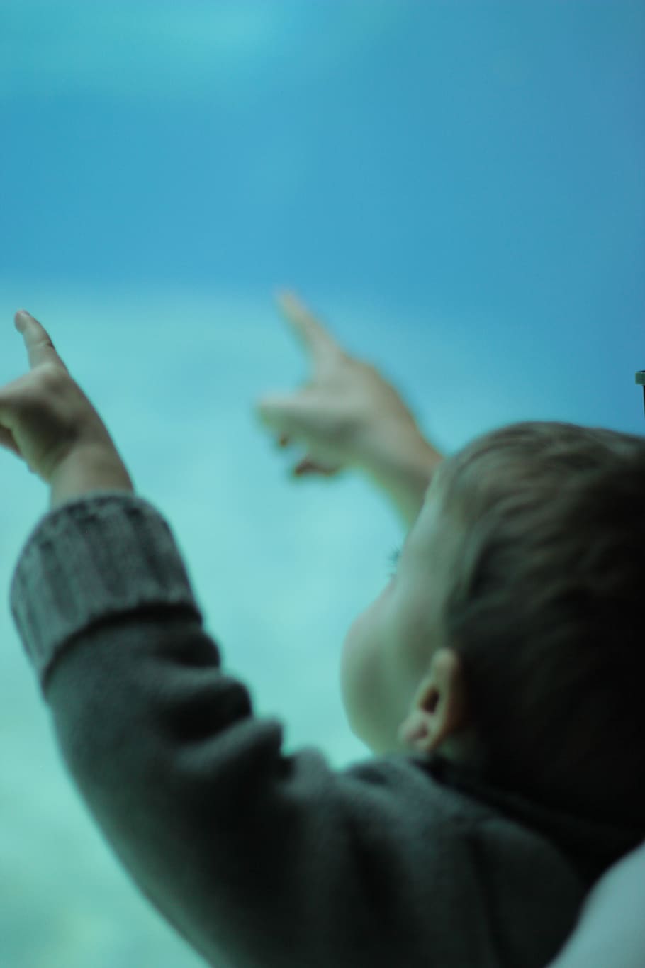 kid, child, curious, pointing, looking, family, todler, gesturing HD wallpaper