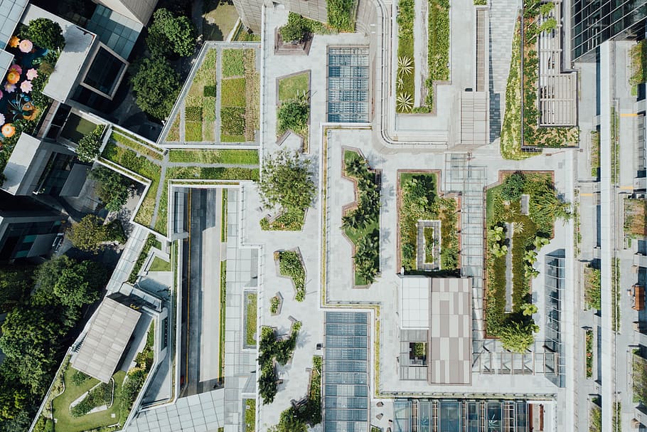 green leaf plant in aerial photography, building, architecture HD wallpaper