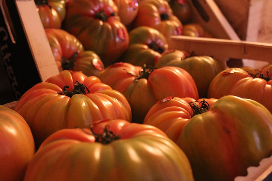 spain, madrid, tomatoes, tomates, vegetales, red, food and drink HD wallpaper