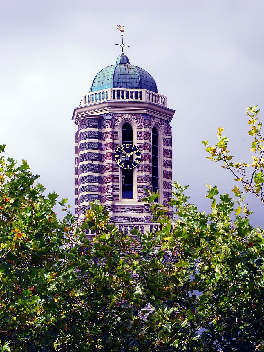 Tower Clock at 1:48, architecture, building, dome, time, tree HD wallpaper