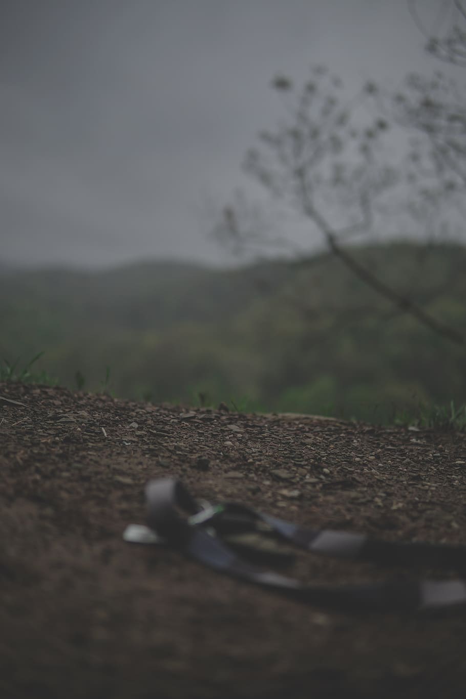 selective focus, nature, land, field, environment, plant, landscape HD wallpaper