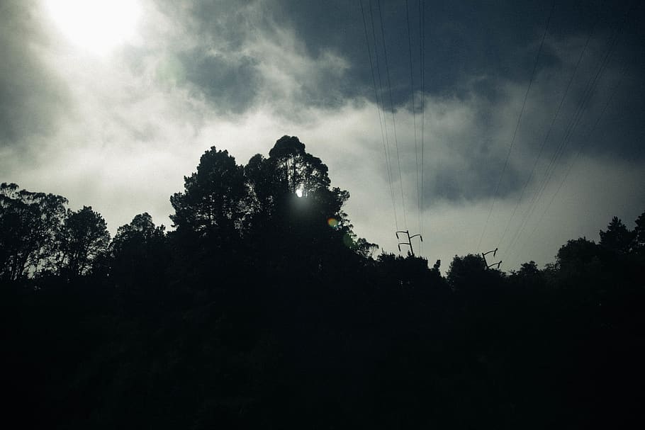 sun, trees, sky, plant, silhouette, cloud - sky, tranquility HD wallpaper
