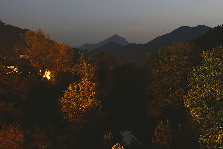 llanes, spain, trees, night, fade, mountain, view, plant, beauty in nature HD wallpaper
